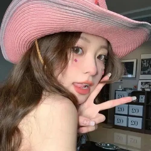 双子谜情
